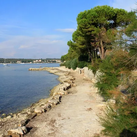 Appartement With A Parking Space Dajla, Novigrad - 11324