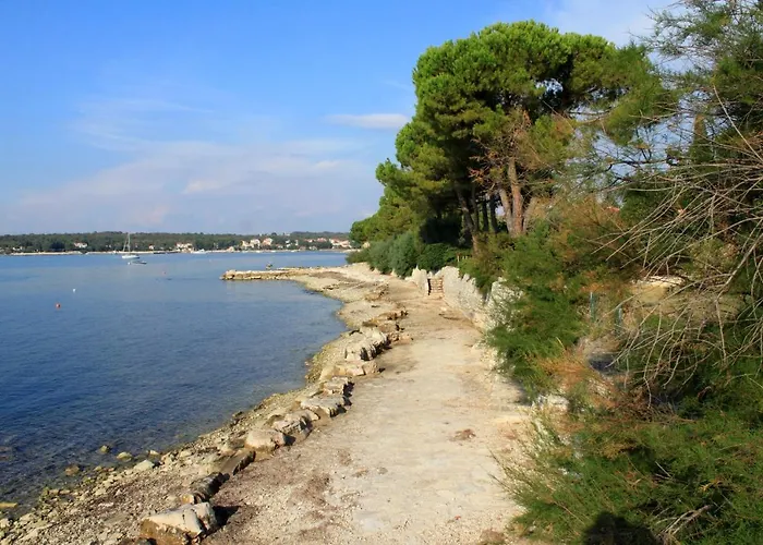 Apartment With A Parking Space Dajla, Novigrad - 11324